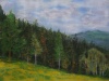 Waldsaum